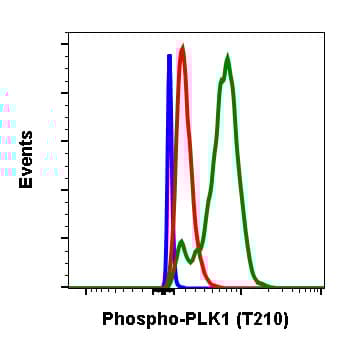 Anti-PLK1 (phospho T210) antibody [PLK1T210-C2](AB278768)