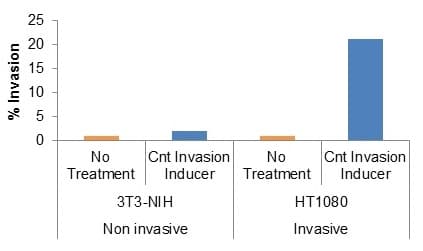 Cell Invasion Assay (Basement Membrane), 96-well, 8 µm(AB235697)