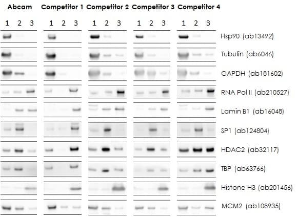 Nuclear Extraction Kit - Soluble / Insoluble Fractions(AB219177)