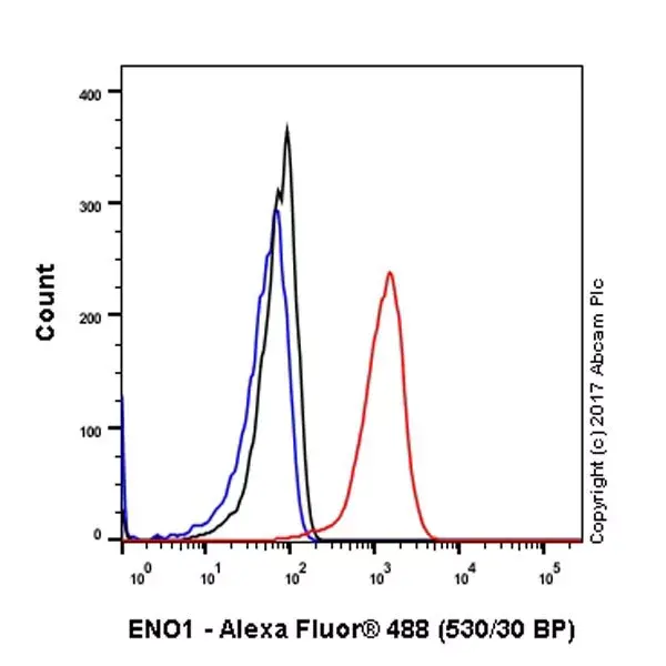 Anti-ENO1 antibody [EPR19758] - BSA and Azide free(AB229378)