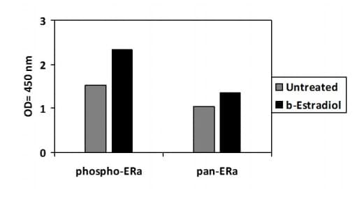 Phospho Estrogen Receptor Alpha Ser118 Elisa Kit Ab279786  Sandwich Elisa Img85031