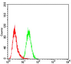 Eif5a Antibody 4e10f6 Ab204939  Flow Cytometry Img121695