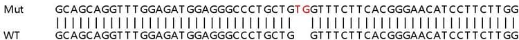 Sanger%20sequencing%20 %20human%20myl6b%20(Mlc1sa)%20knockout%20hek 293t%20cell%20line%20(Ab266839)  Sanger Sequencing Img411409