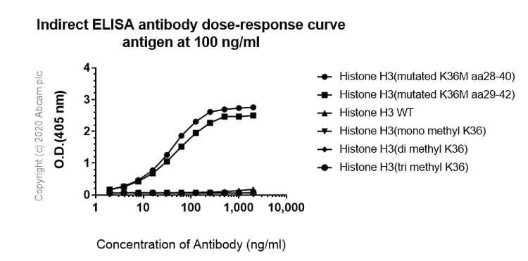 Anti-Histone H3.3 (mutated K36M) antibody [EPR23526-89] - BSA and Azide free(AB277487)