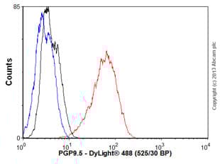 Anti-PGP9.5 antibody [BH7](AB72911)