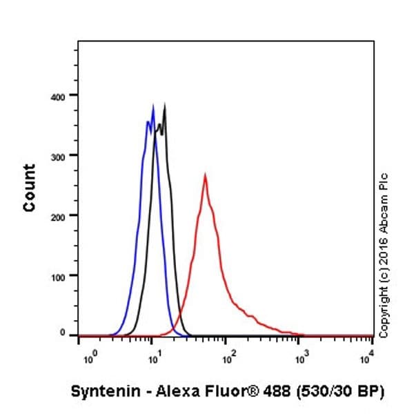 Anti-Syntenin antibody [EPR8102](AB133267)