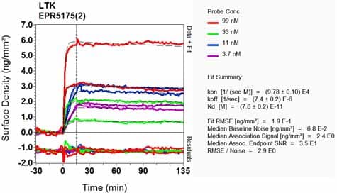Ltk Antibody Epr51752 Ab129155  Oi Rd Scanning Img83893