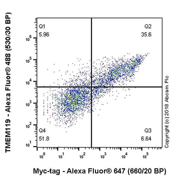 Alexa Fluor® 647 Anti-Myc tag antibody [9E10](AB223895)