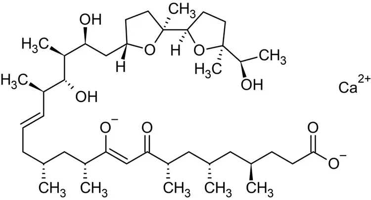 Ionomycin Ca2+ Salt, Ca2+ ionophore(AB120116)