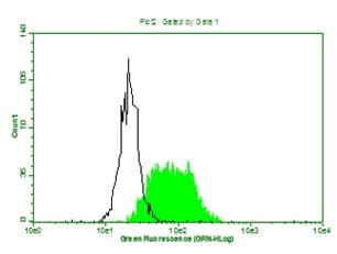 Anti-beta 2 Microglobulin antibody [D2E9](AB198486)
