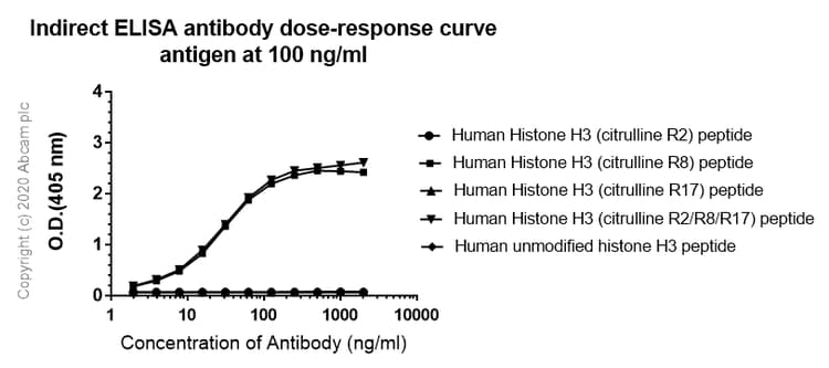 Anti-Histone H3 (citrulline R8) antibody [EPR20358-13] - BSA and Azide free(AB232939)