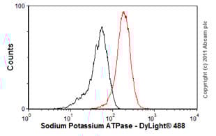 Anti-Sodium Potassium ATPase antibody [EP1845Y] - BSA and Azide free(AB167390)