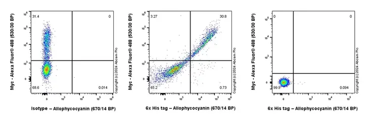 APC Rabbit IgG, monoclonal [EPR25A] - Isotype Control(AB232814)