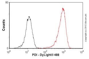 Anti-P4HB antibody [RL90](AB2792)