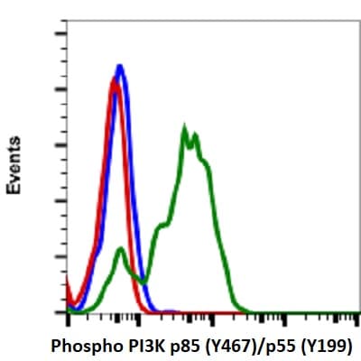PE Anti-PI 3 Kinase p85 alpha (phospho Y467) + PI3 Kinase p55 (phospho Y199) antibody [PI3KY458-1A11](AB278691)