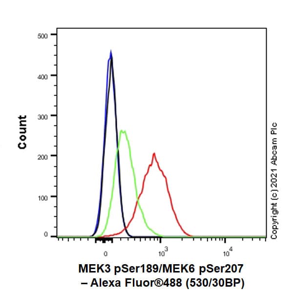 Anti-MEK3 (phospho S189) + MEK6 (phospho S207) antibody [EPR24759-32](AB289976)