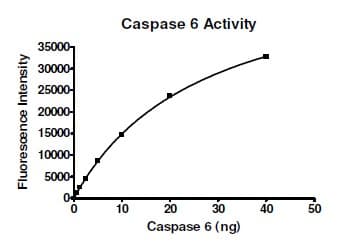 Recombinant human Caspase-6/CASP-6 protein (Active)(AB198067)