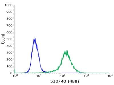 Vpac1 Antibody Sp234 Ab183312  Flow Cytometry Intracellular Img122259