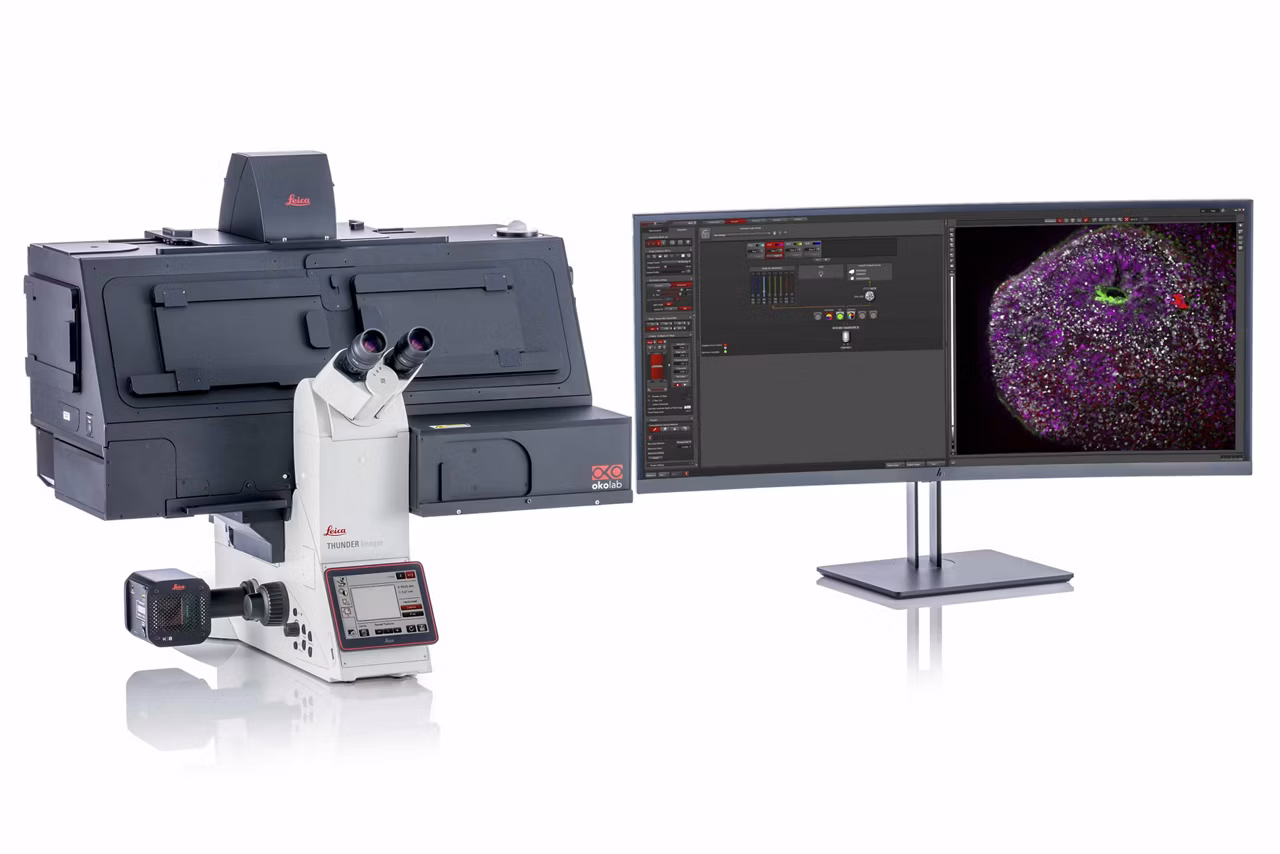 THUNDER Imager Live Cell K8 ThunderShooting 1070585 Web Kid21775903