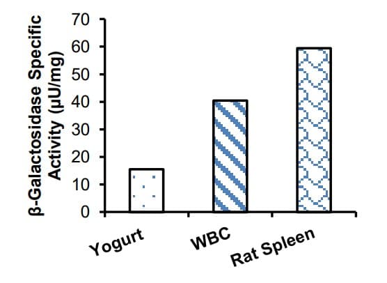 Beta Galactosidase Assay Kit(ab287846)