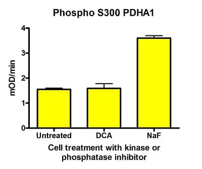 Phospho S300 Pdh E1 Alpha Protein Pdha1 Profiling Elisa Kit Ab115345  Functional Studies Img106221