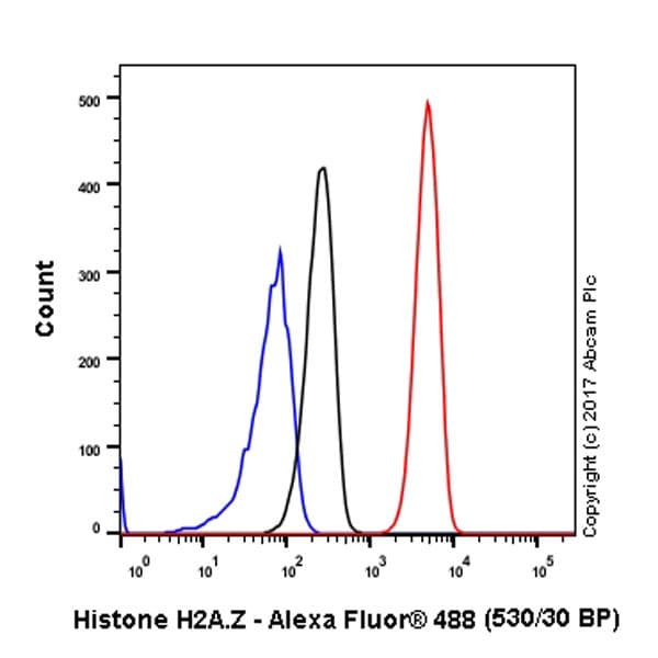 Anti-Histone H2A.Z antibody [EPR6171(2)(B)] - ChIP Grade(AB150402)
