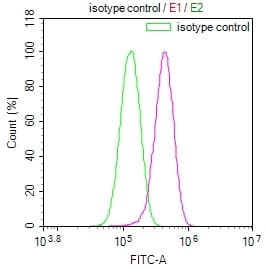Anti-USP24 antibody [11E3](AB314024)
