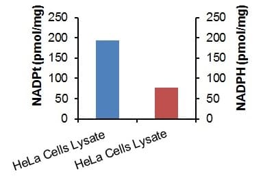 NADP/NADPH Assay Kit(AB65349)