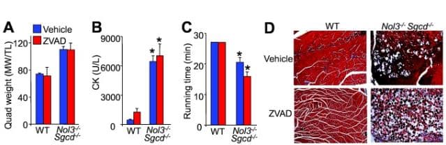 Z-VAD(OH)-FMK, Irreversible general caspase inhibitor(AB120382)