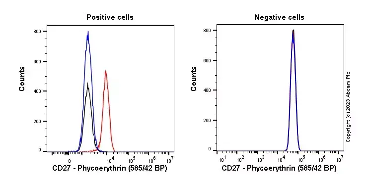PE Rabbit IgG, monoclonal [EPR25A] - Isotype Control(AB209478)