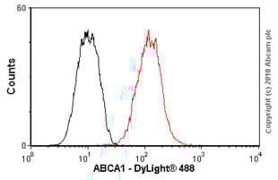 Anti-ABCA1 antibody [AB.H10](AB18180)