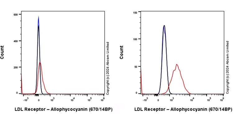 APC Rabbit IgG, monoclonal [EPR25A] - Isotype Control(AB232814)