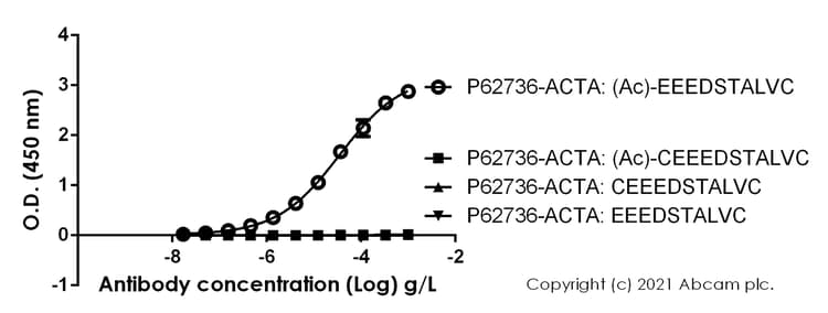 Anti-alpha smooth muscle Actin (acetyl E3) + ACTG2 (acetyl E3) antibody [E184](AB32575)