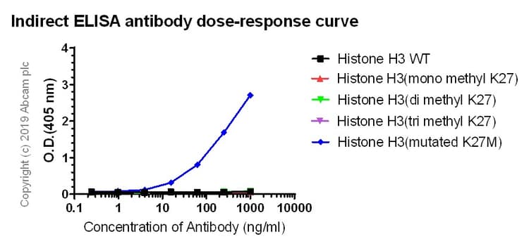 Anti-Histone H3 (mutated K27M) antibody [EPR18340] - ChIP Grade(AB190631)