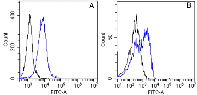 Integrin Alpha 5 Beta 1 Antibody M200 Volociximab Rabbit Igg Chimeric Ab275977  Flow Cytometry Img101925