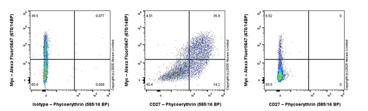 PE Rabbit IgG, monoclonal [EPR25A] - Isotype Control(AB209478)