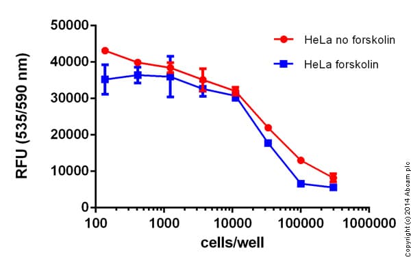 cAMP Assay Kit (Competitive ELISA, Fluorometric)(AB138880)
