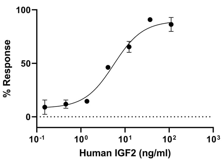 Recombinant Human IGF2 protein (Active)(AB283420)