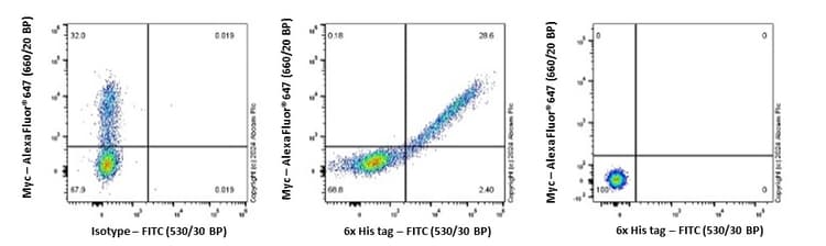 FITC Rabbit IgG, monoclonal [EPR25A] - Isotype Control(AB223339)