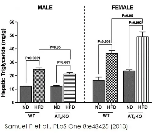 Triglyceride Assay Kit - Quantification(AB65336)
