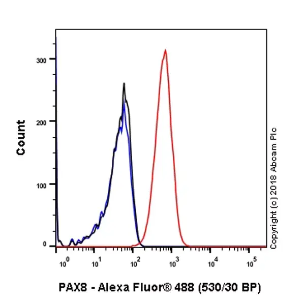 Anti-PAX8 antibody [SP348] - N-terminal(AB227707)