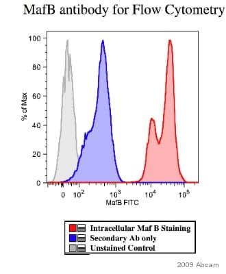 Goat Anti-Rabbit IgG H&L (FITC)(AB6717)
