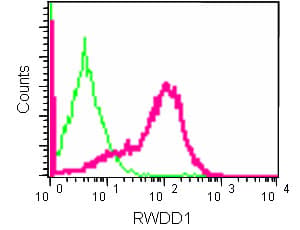 Rwdd1 Antibody Epr13715b Ab181994  Flow Cytometry Intracellular Img51764