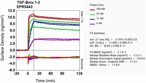 Tgf Beta 1 2 Antibody Epr5443 Ab124894  Oi Rd Scanning Img82376
