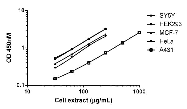 Human SIRT1 ELISA Kit(AB171573)