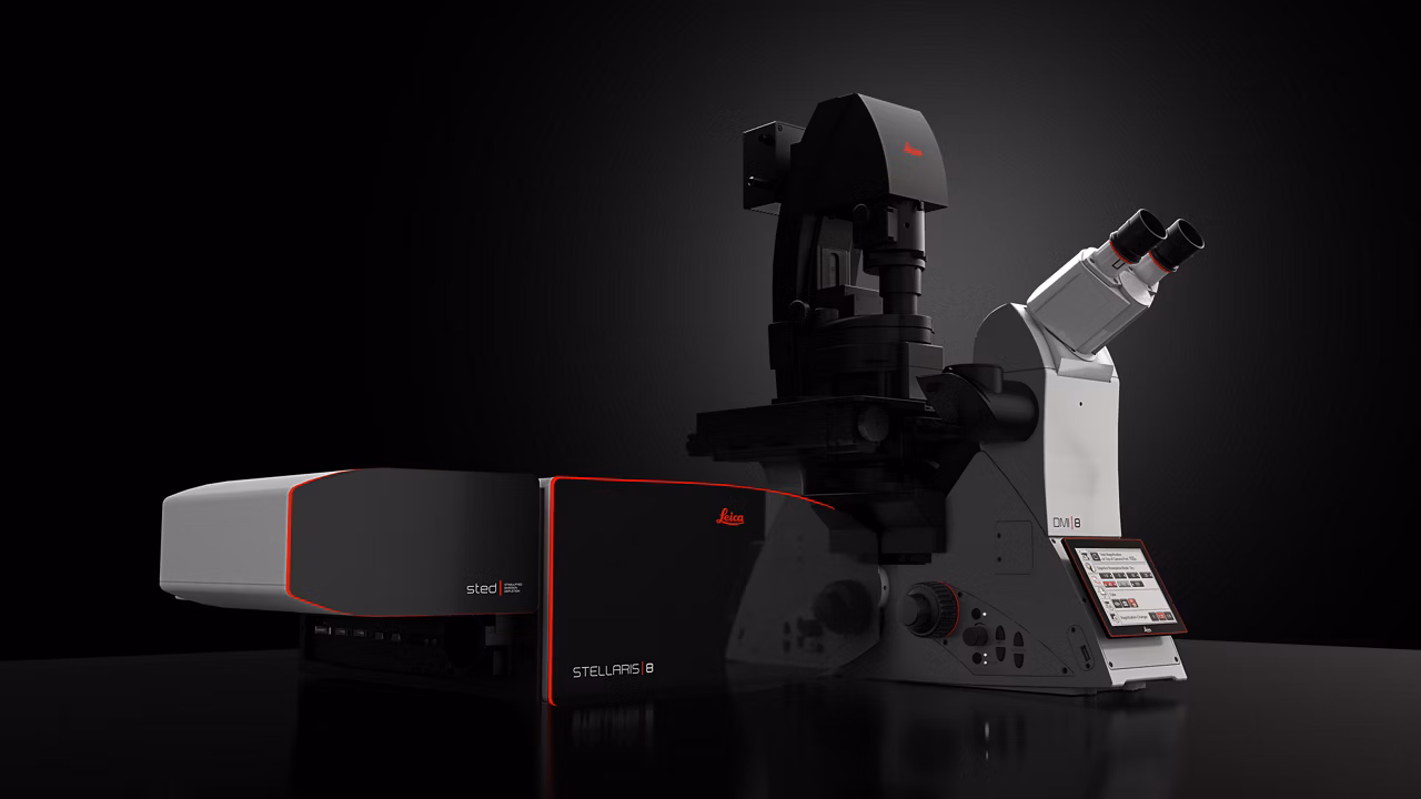 Leica Microsystems Stellaris 8 Sted Image1
