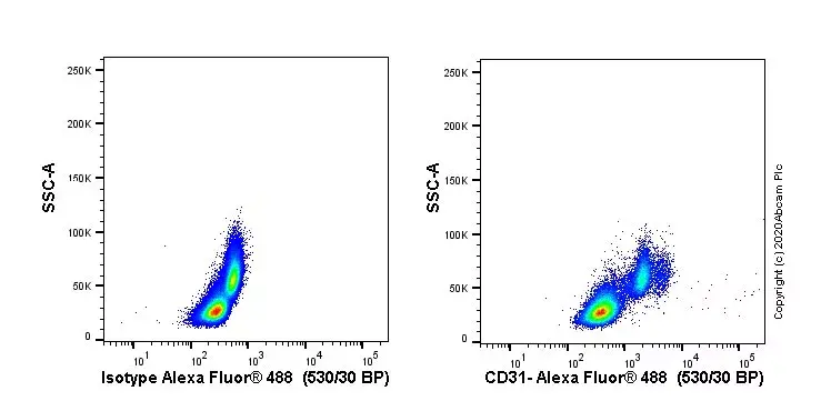 Anti-CD31 antibody [JC/70A](AB9498)