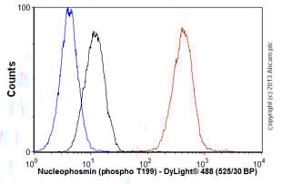 Anti-Nucleophosmin (phospho T199) antibody [EP1857Y] - BSA and Azide free(AB208698)