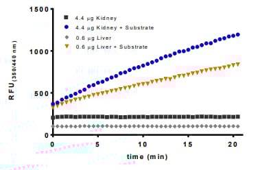 Deubiquitinase Assay Kit(ab241002)