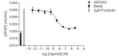 Anti-HIF-1 alpha antibody [H1alpha67](AB1)